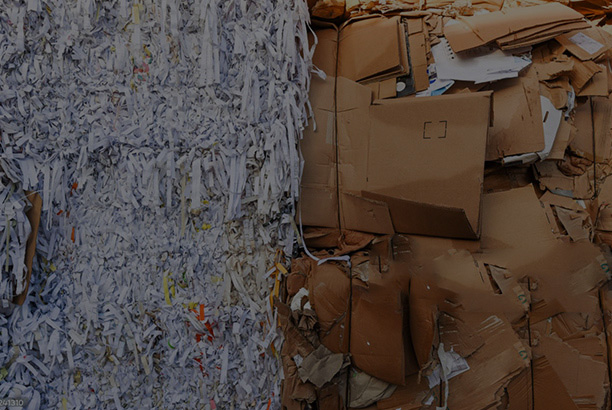 plastic recycling industry