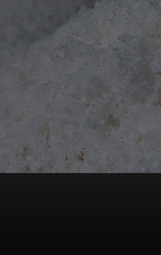 plastic recycling companies