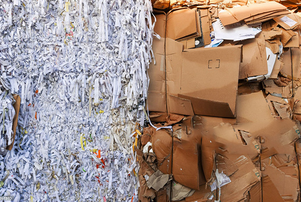 Amsa Global Recyclers